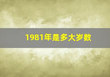 1981年是多大岁数