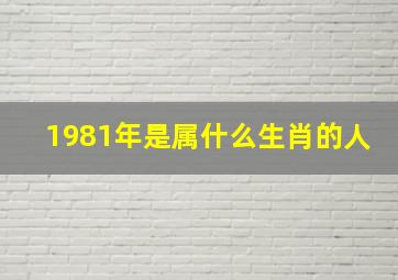 1981年是属什么生肖的人