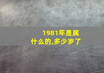 1981年是属什么的,多少岁了