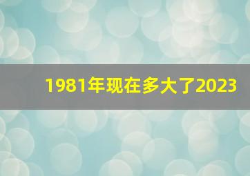 1981年现在多大了2023