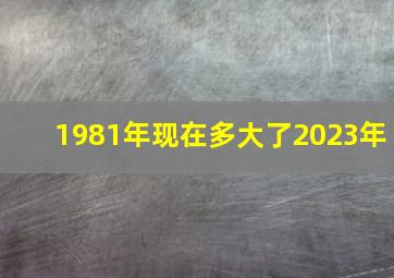 1981年现在多大了2023年