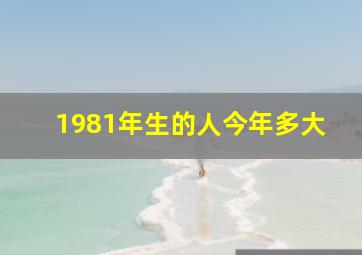 1981年生的人今年多大