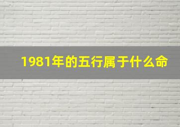 1981年的五行属于什么命