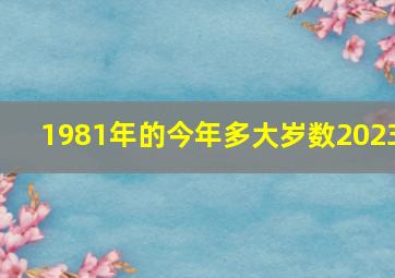 1981年的今年多大岁数2023