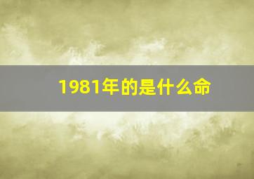 1981年的是什么命