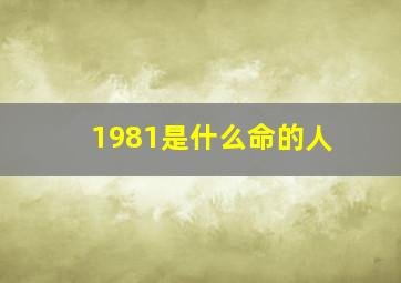 1981是什么命的人