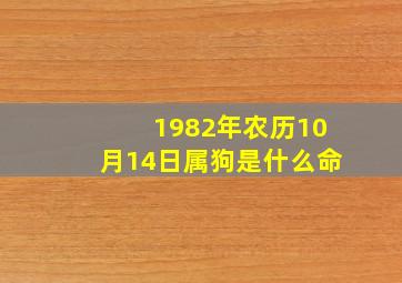 1982年农历10月14日属狗是什么命