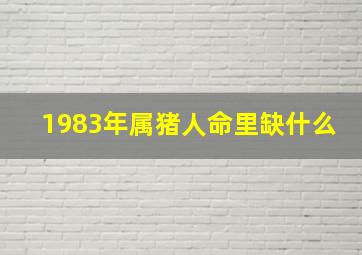 1983年属猪人命里缺什么