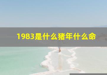 1983是什么猪年什么命