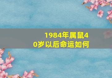 1984年属鼠40岁以后命运如何