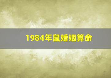 1984年鼠婚姻算命