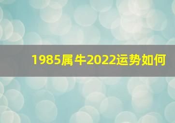 1985属牛2022运势如何