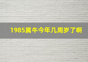 1985属牛今年几周岁了啊