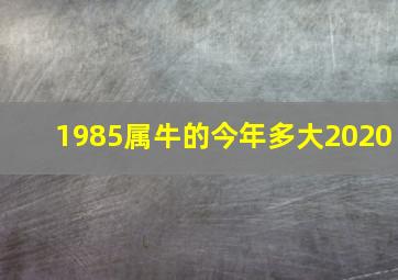 1985属牛的今年多大2020