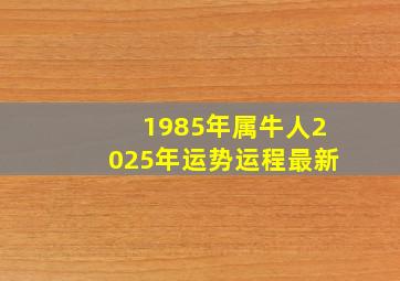 1985年属牛人2025年运势运程最新