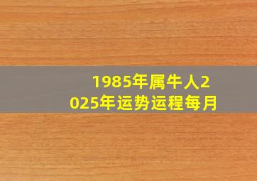 1985年属牛人2025年运势运程每月