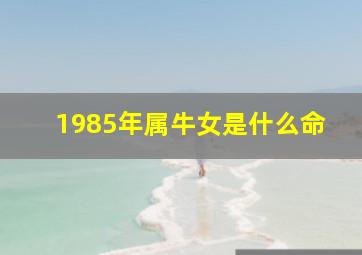 1985年属牛女是什么命