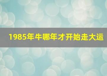 1985年牛哪年才开始走大运