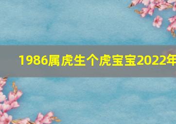 1986属虎生个虎宝宝2022年