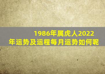 1986年属虎人2022年运势及运程每月运势如何呢