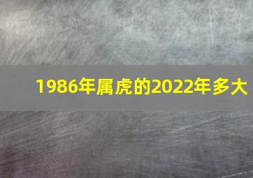 1986年属虎的2022年多大