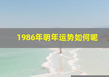 1986年明年运势如何呢