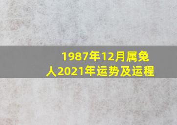 1987年12月属兔人2021年运势及运程