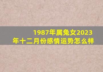 1987年属兔女2023年十二月份感情运势怎么样