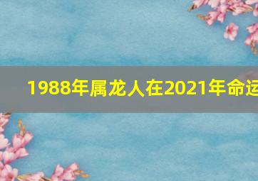 1988年属龙人在2021年命运