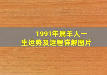 1991年属羊人一生运势及运程详解图片