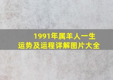 1991年属羊人一生运势及运程详解图片大全