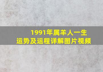 1991年属羊人一生运势及运程详解图片视频