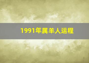 1991年属羊人运程