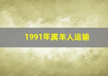 1991年属羊人运输