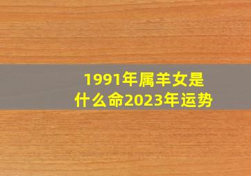 1991年属羊女是什么命2023年运势