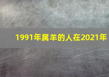 1991年属羊的人在2021年