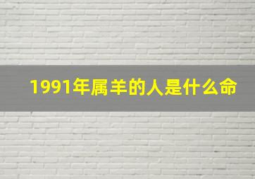 1991年属羊的人是什么命