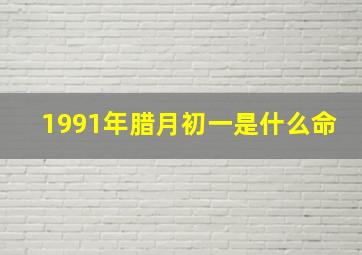 1991年腊月初一是什么命