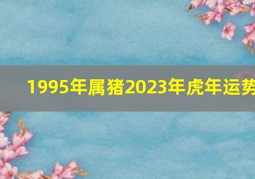 1995年属猪2023年虎年运势