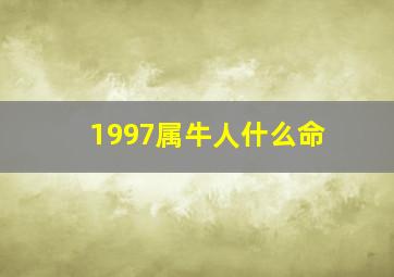 1997属牛人什么命