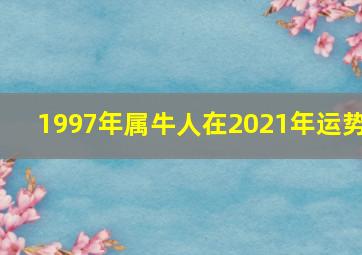 1997年属牛人在2021年运势