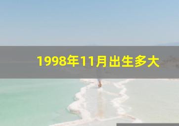 1998年11月出生多大