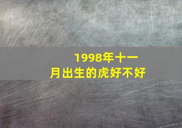 1998年十一月出生的虎好不好