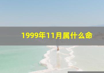 1999年11月属什么命