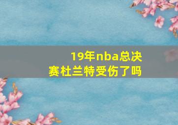 19年nba总决赛杜兰特受伤了吗