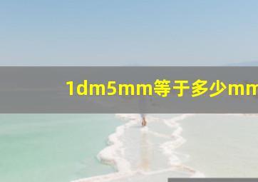 1dm5mm等于多少mm