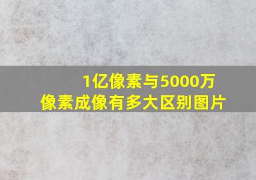 1亿像素与5000万像素成像有多大区别图片