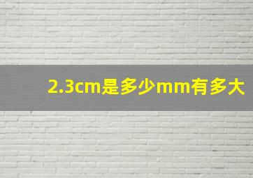 2.3cm是多少mm有多大