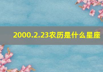 2000.2.23农历是什么星座