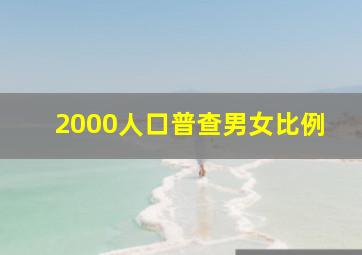 2000人口普查男女比例